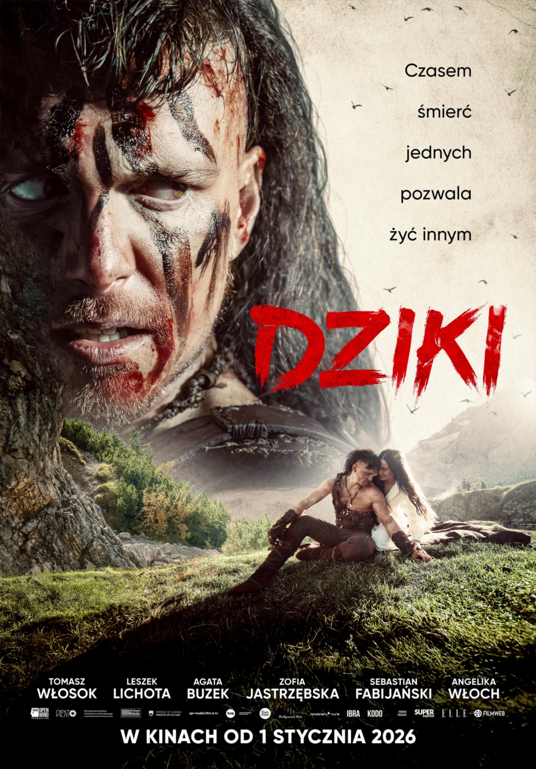 Dziki plakat filmu